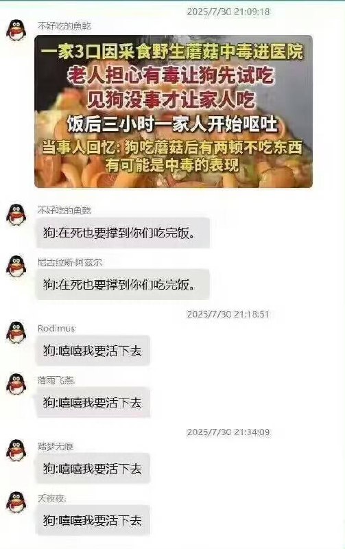 via 布莱特 卡from 心惊报 via DECADE