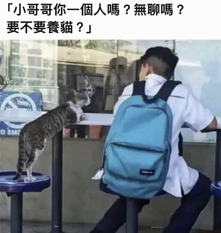 from 什麼都來點 via DECADE