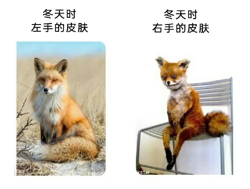via 7号沙雕网友