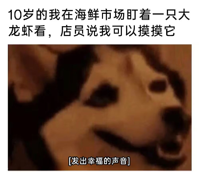 via 6号沙雕网友