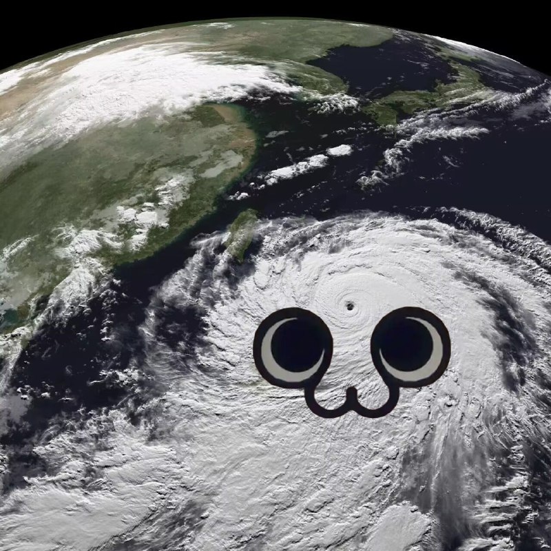 致亲爱的老大