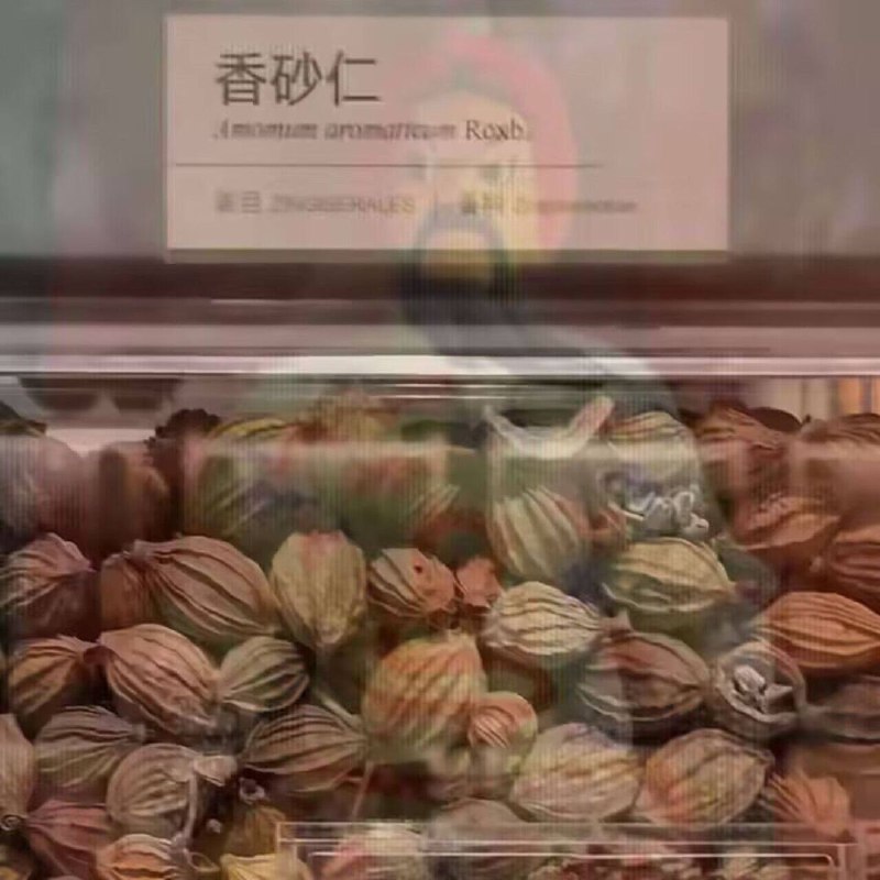 from 💈就在这理发店💈