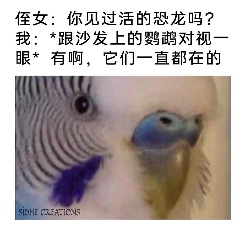 via 7号沙雕网友