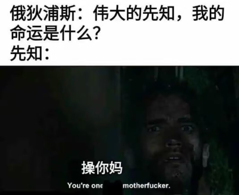 via 6号沙雕网友