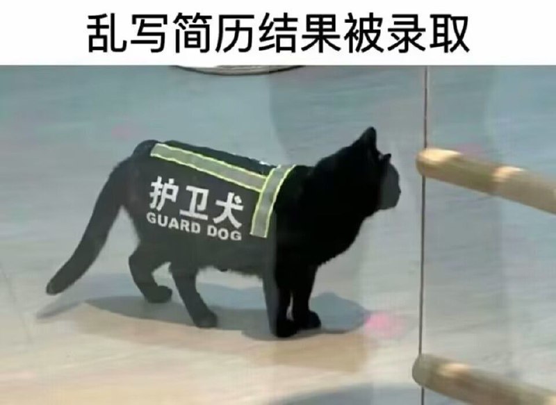 via 悠游