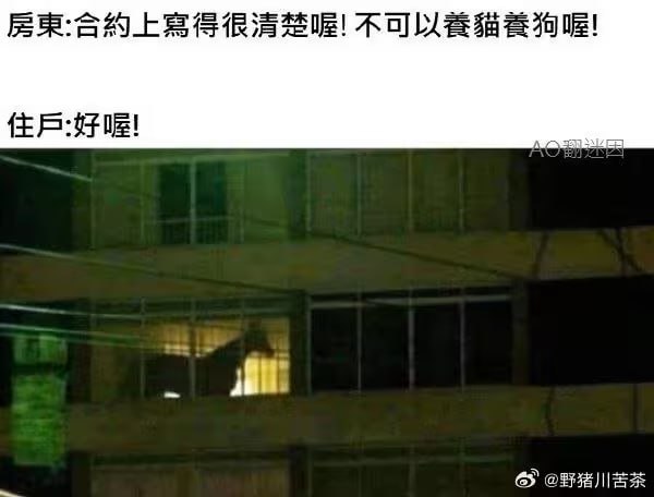via 7号沙雕网友