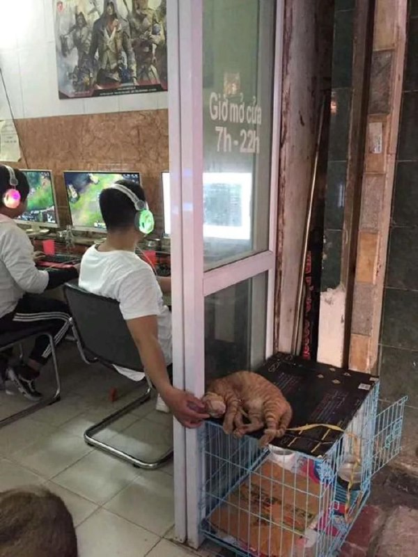 我记得之前其中一张出现过墙上面via my nbkls我记得之前其中一张出现过墙上面via my nbkls