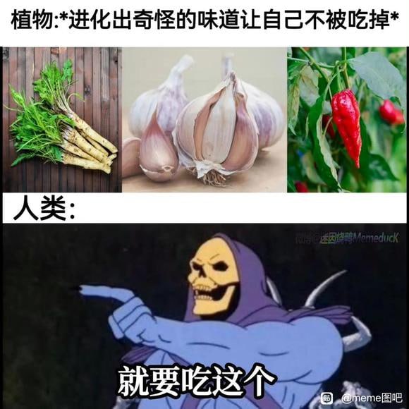 标题五个字还有这个类型的meme图吗？乐死我了标题五个字还有这个类型的meme图吗？乐死我了