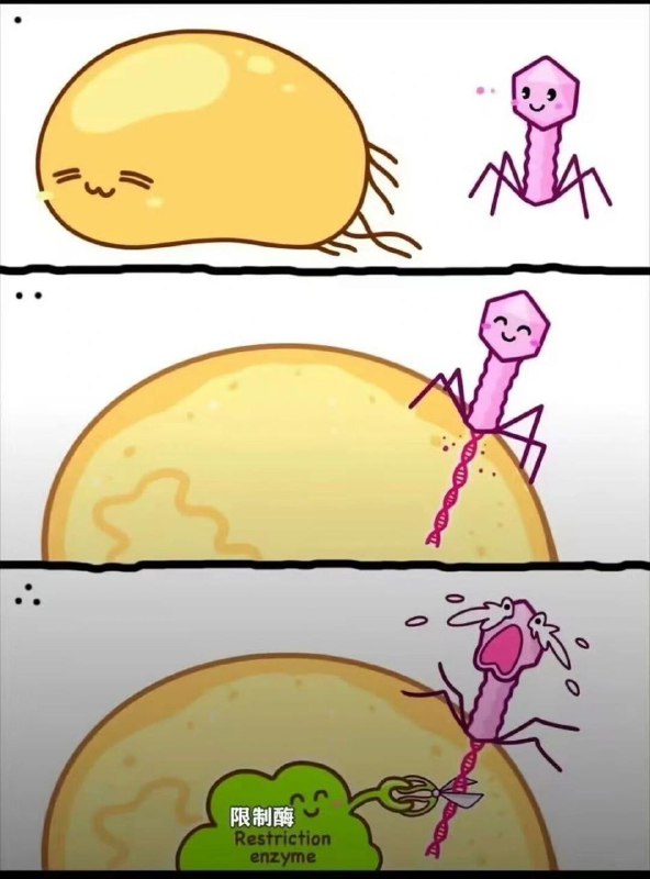 via 7号沙雕网友