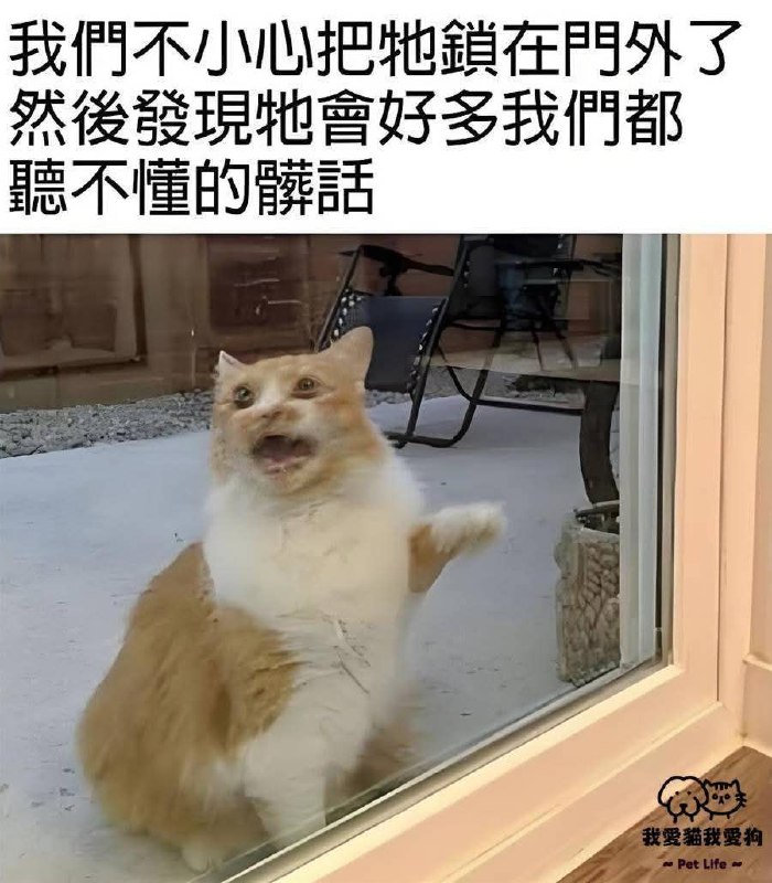 from 什麼都來點 via DECADE