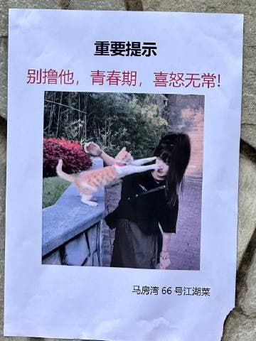 这个高度就是贴给当事猫看的吧[喵喵]这个高度就是贴给当事猫看的吧[喵喵]