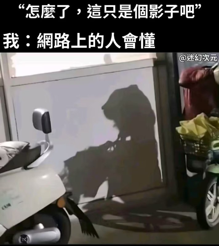 via 油菜花终结者