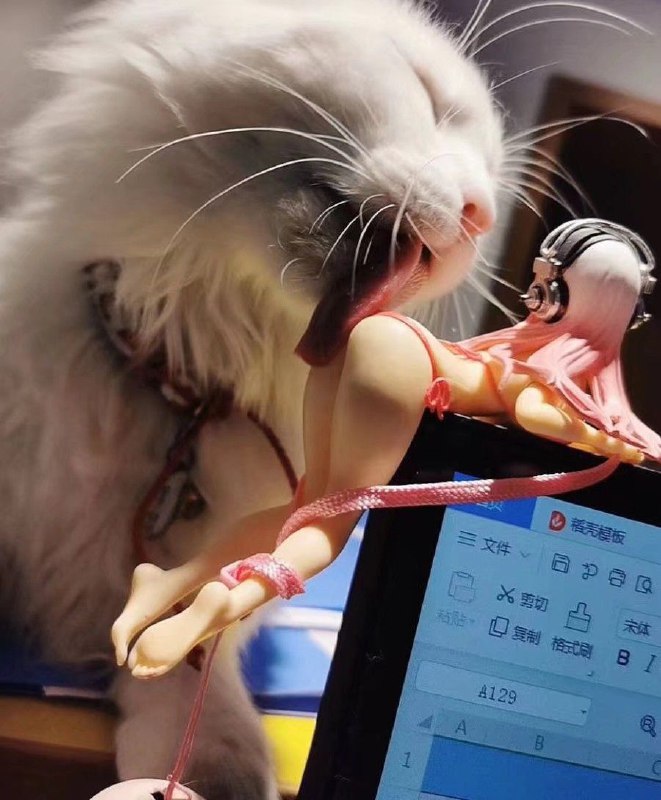 有品位via LDLD 果冻