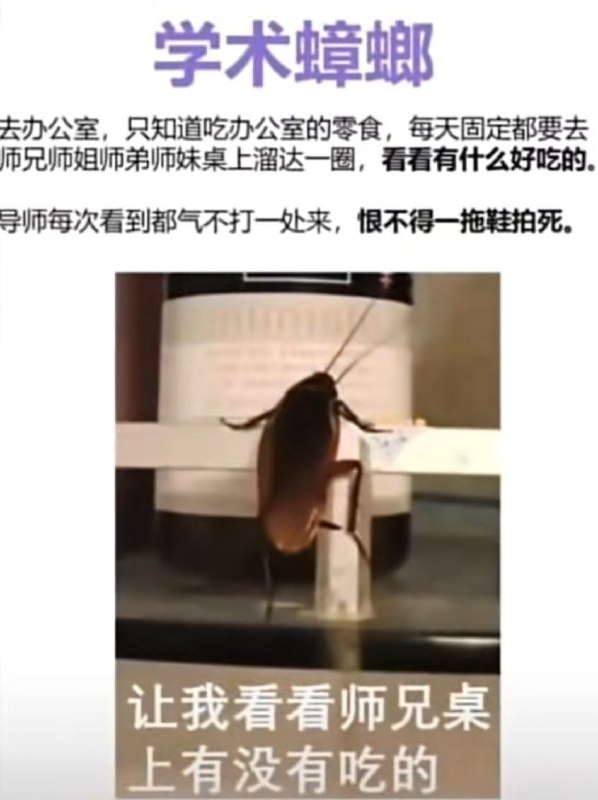 via 宇智波天天