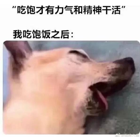 from Anzu什么都发 via electri