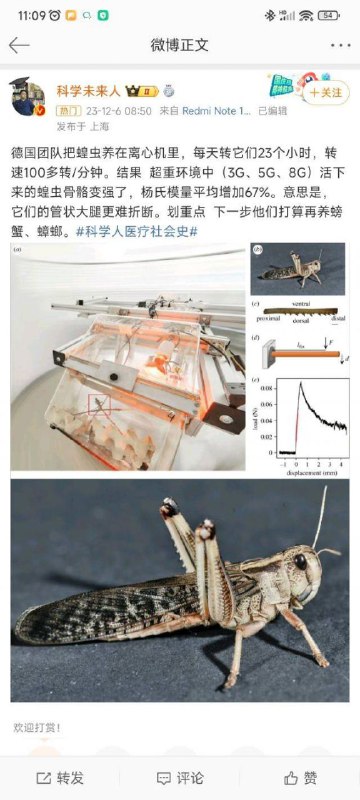 这群人是不是准备搞出拍不死的蟑螂