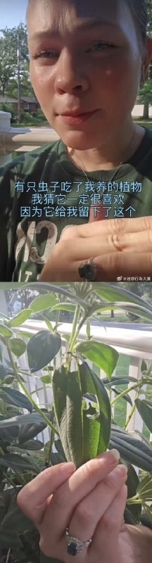 via 7号沙雕网友