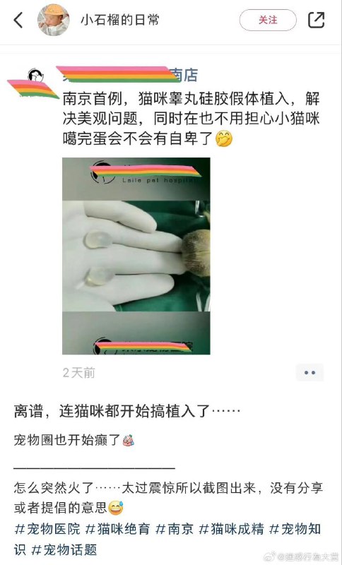 from 单间、光照尚好、附带蚊子