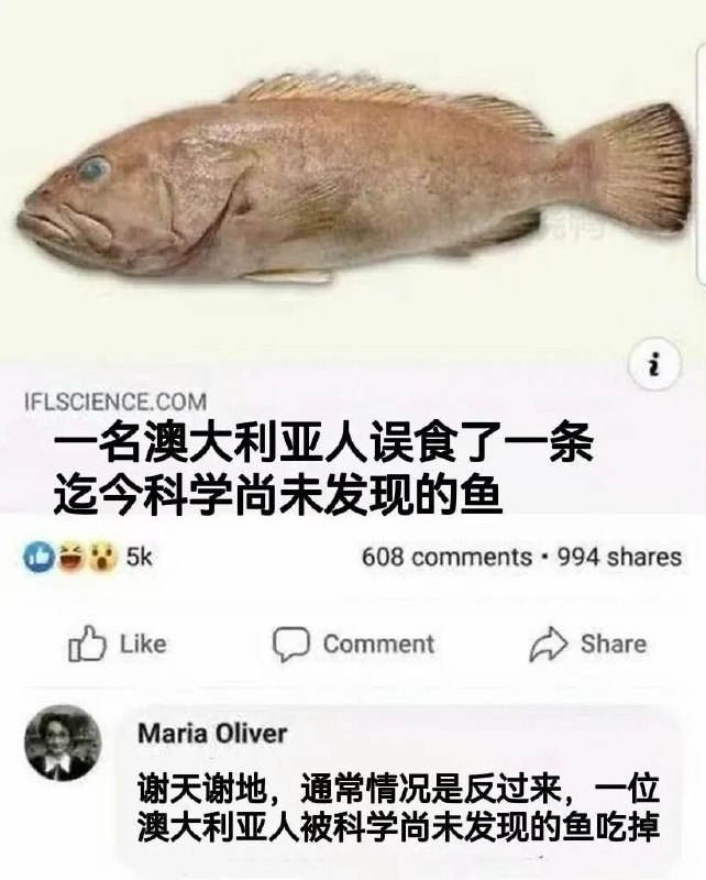 from 什麼都來點 via DECADE