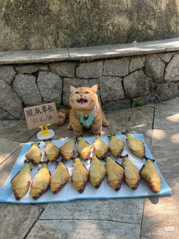 from 王富贵