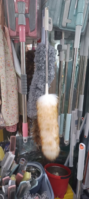 from 猫猫窝🐱