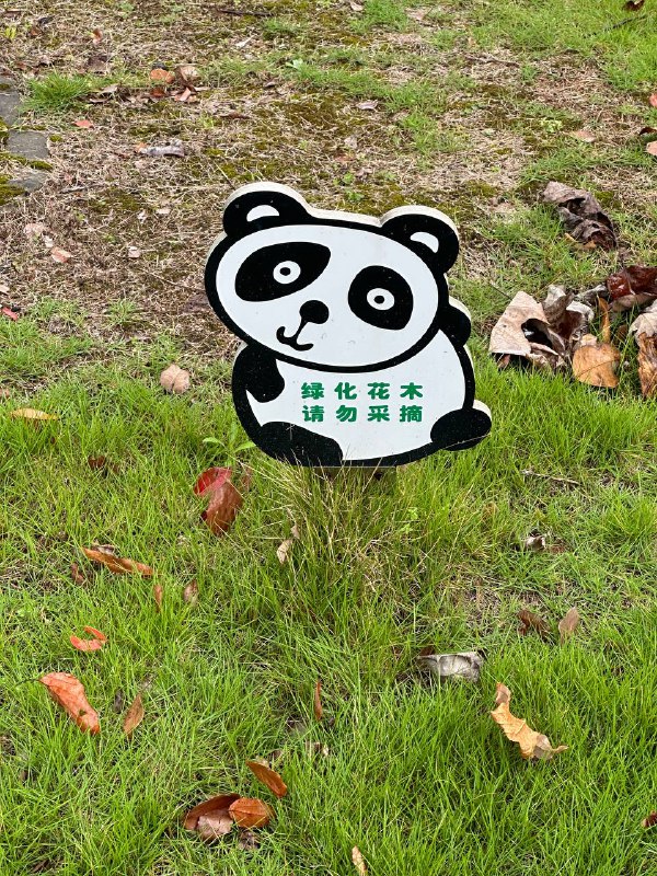 有点憨🤗from 翀の杂七杂八