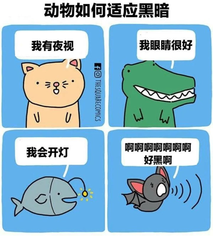 from 煎蛋无聊图