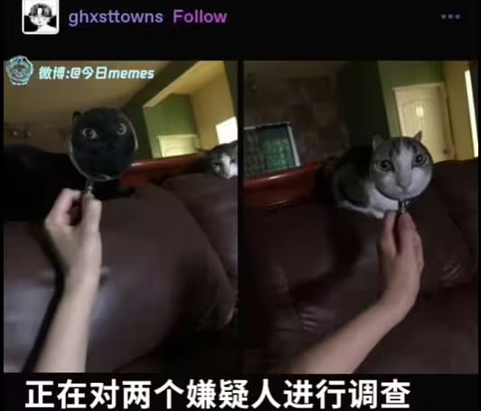 via 6号沙雕网友