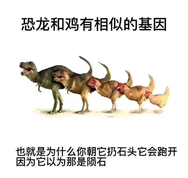 via 8号沙雕网友