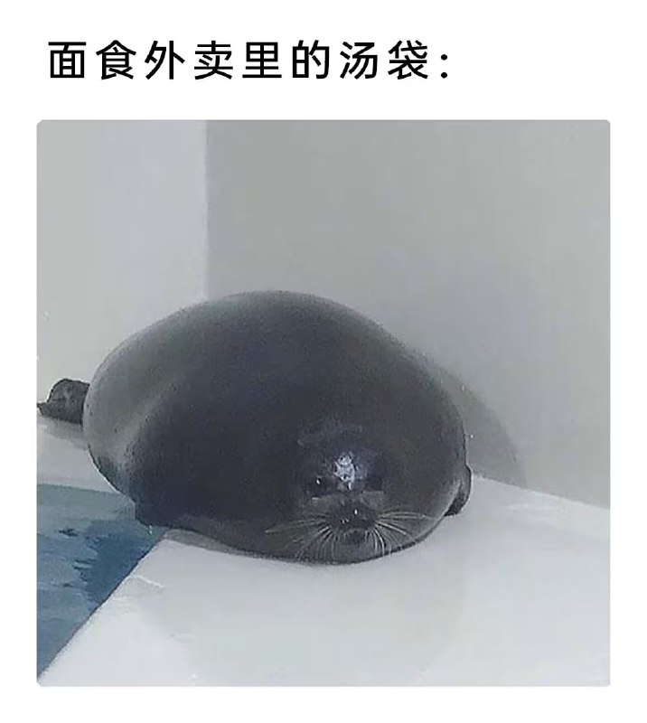 via 7号沙雕网友