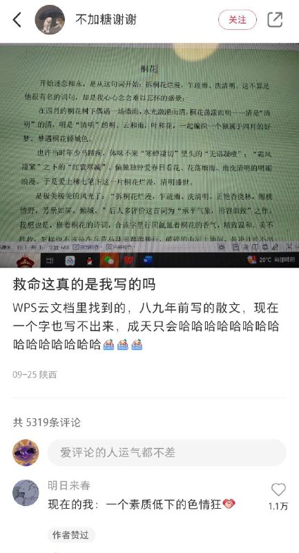 一个绝望的文盲