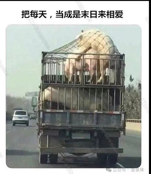via vvvv yyyyfrom 心惊报