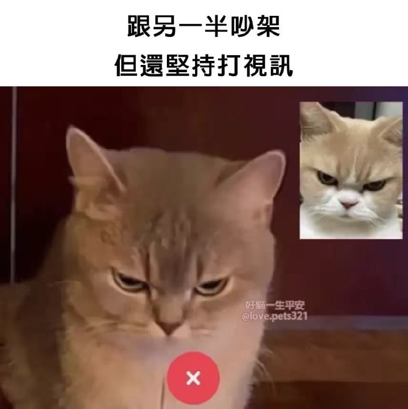 via 6号沙雕网友