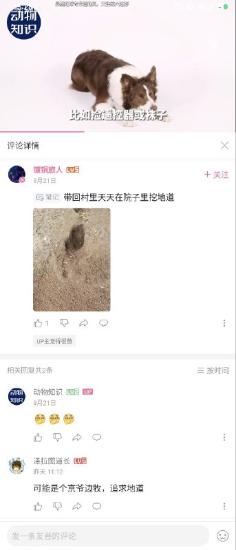 via 命不久矣from 心惊报