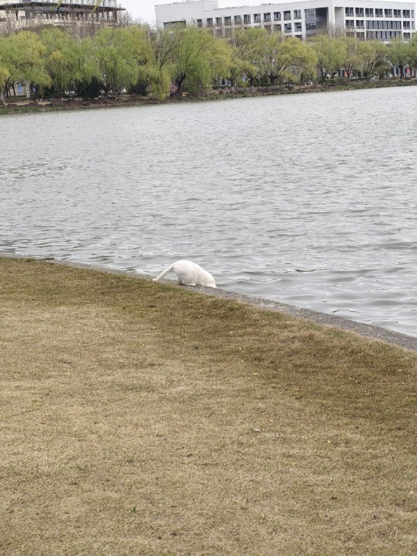 via 时月via 时月