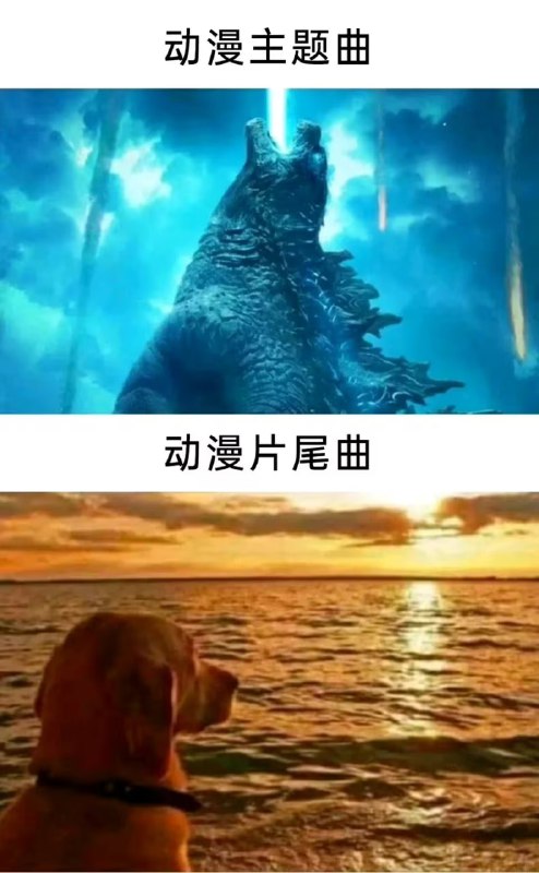 via 6号沙雕网友