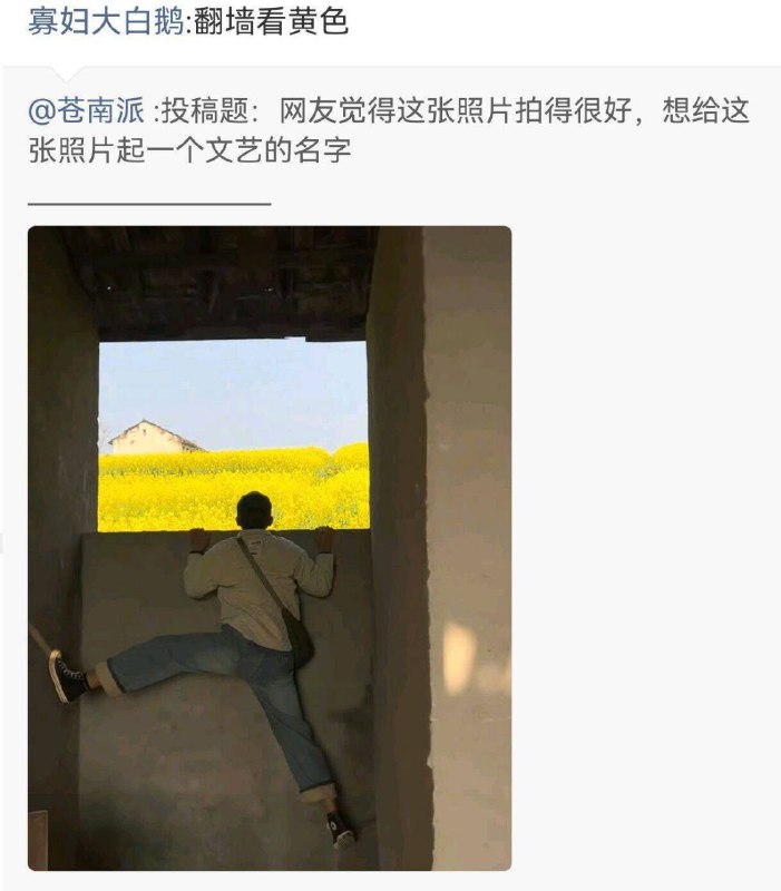 from 什麼都來點 via DECADE