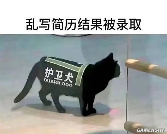 via 7号沙雕网友