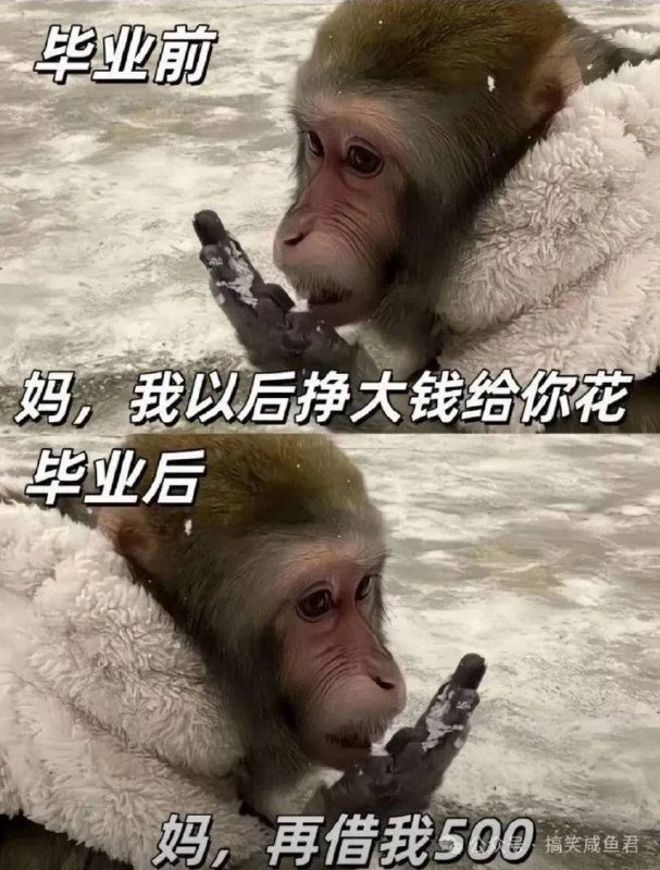 via 7号沙雕网友