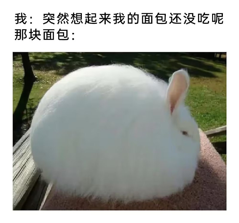 via 7号沙雕网友