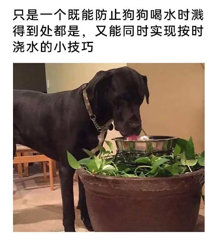 via 7号沙雕网友