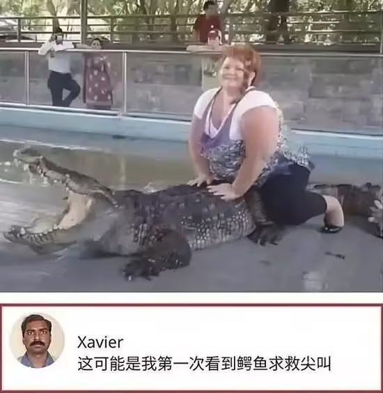 via 8号沙雕网友