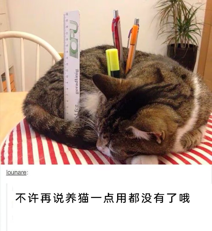 via 7号沙雕网友