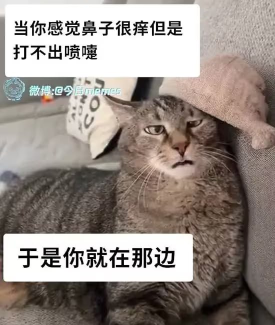 via 6号沙雕网友