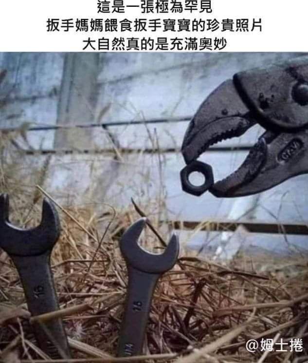 from kiki jiji