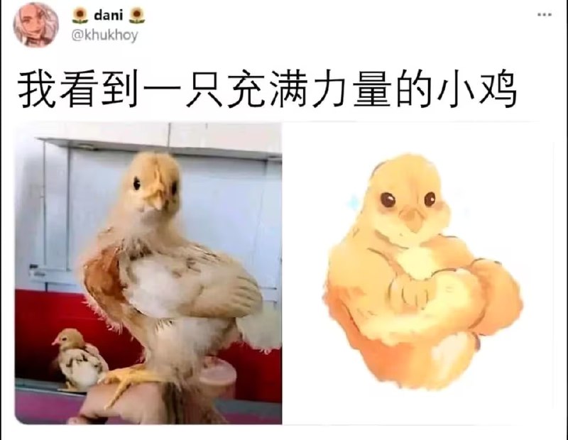 via 8号沙雕网友