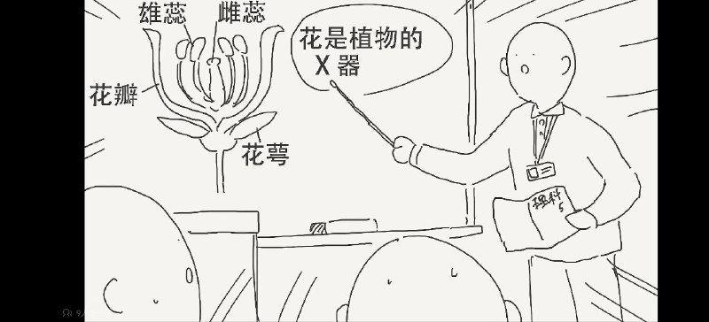 *大胆的想法如果两个如图所示的花妖亲亲并且雄花和雌花分别在头的左侧和右侧（类似赛马娘的头饰那样，区分母马和公马）那么他们的头花就会直接接触完成授粉亲亲是会怀上孩子的！（暴论）via LDLD 果冻*大胆的想法如果两个如图所示的花妖亲亲并且雄花和雌花分别在头的左侧和右侧（类似赛马娘的头饰那样，区分母马和公马）那么他们的头花就会直接接触完成授粉亲亲是会怀上孩子的！（暴论）via LDLD 果冻