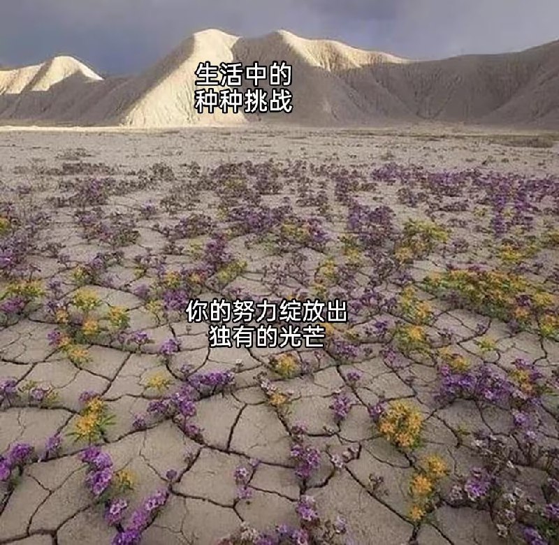 via 8号沙雕网友