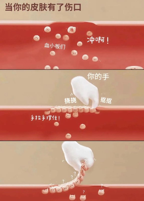 via 雪月花