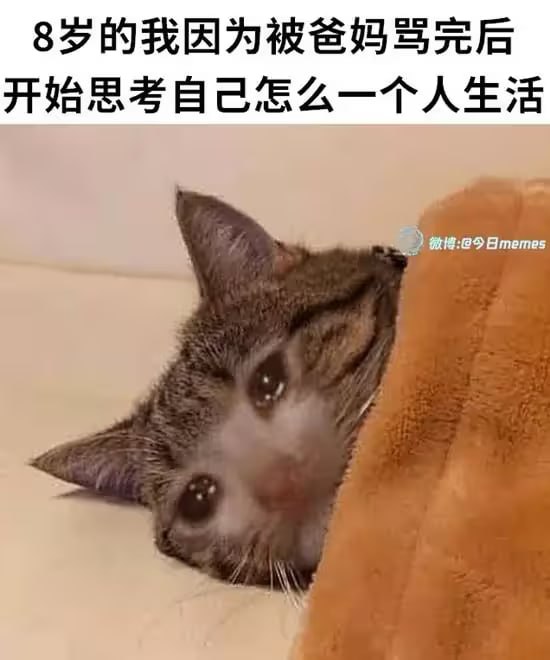 via 6号沙雕网友